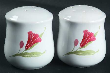 Pacific Bloom (Corelle) Salt & Pepper Set by Corning Corelle
