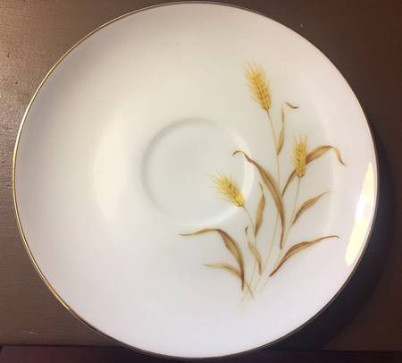 CA1 Saucer