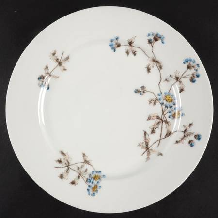 Schleiger 1311-1 by Charles Field Haviland