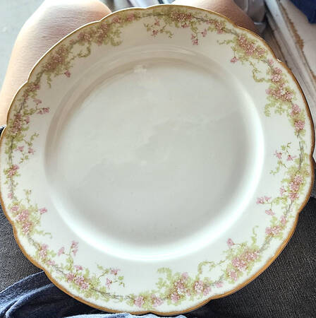 SCH389-3 Dinner Plate