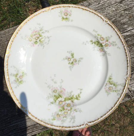 CHF823 Dinner Plate