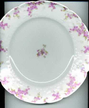 Schleiger 1289-4 by Charles Field Haviland