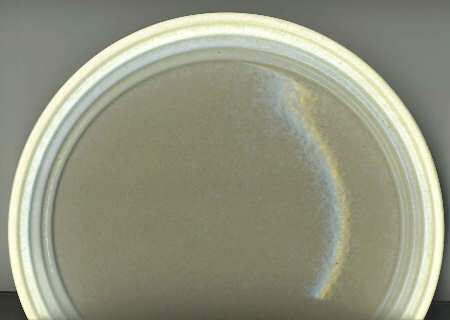 COB20 Salad Plate