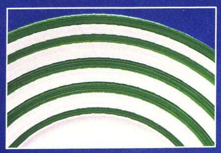 Transat Green (Vert) by Jean Louis Coquet