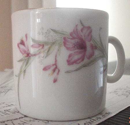 CX206 Mug