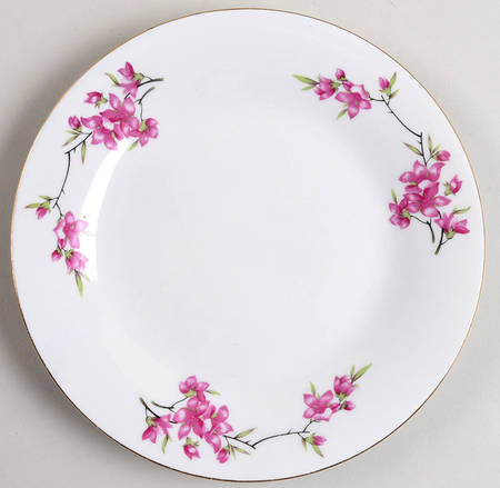 CX219 Salad Plate