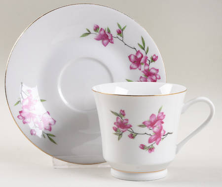 CX219 Footed Cup & Saucer Set