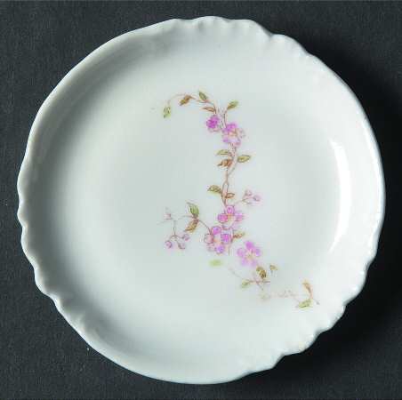 Schleiger 1299-1 by Charles Field Haviland