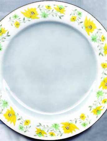 CX241 Dinner Plate