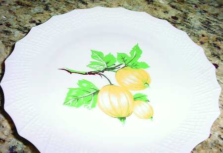 CNR33 Salad Plate
