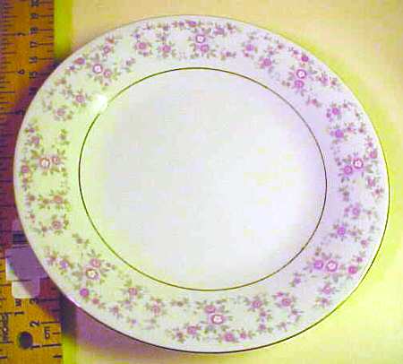 CX265 Dinner Plate