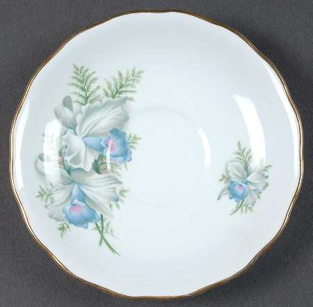 8101 Saucer