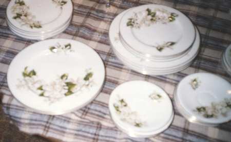 CTW2 Salad Plate