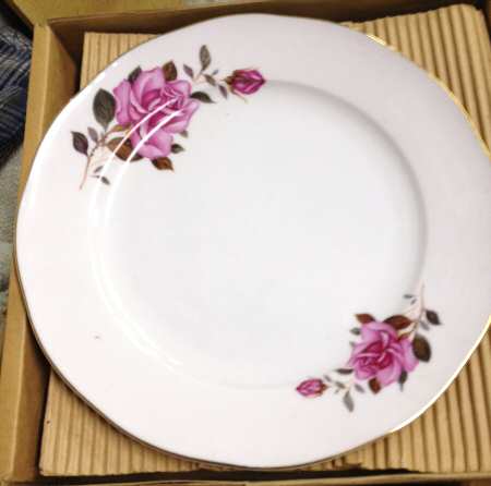 YSH9 Dinner Plate