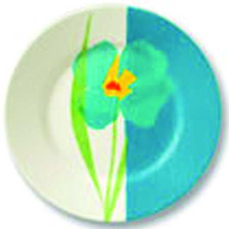 Fiore Blue by Corning Corelle