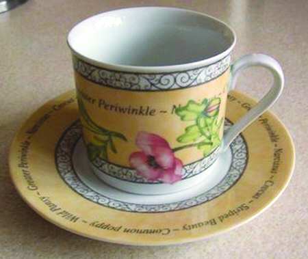 Botanical Flat Cup & Saucer Set