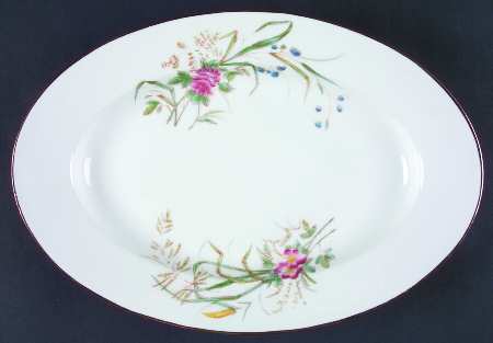 CHF1256