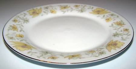 CX241 Salad Plate