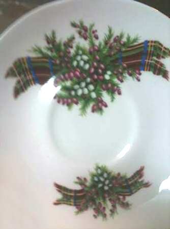 CNT11 Saucer