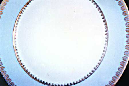 CHF1295 Dinner Plate