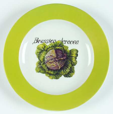 CP32 Salad Plate