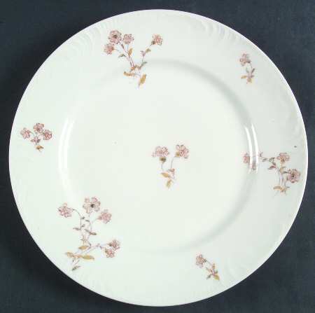 Schleiger 372-1 by Charles Field Haviland
