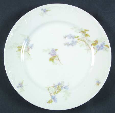 Schleiger 1291-1 by Charles Field Haviland
