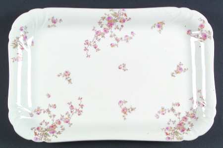 Schleiger 1298-1 by Charles Field Haviland