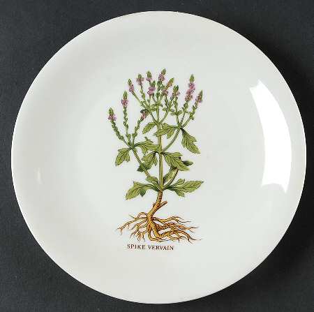 CNA2 Salad Plate