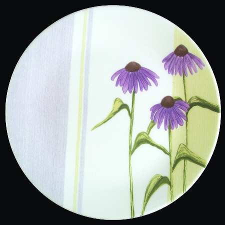 Senses by Corning Corelle