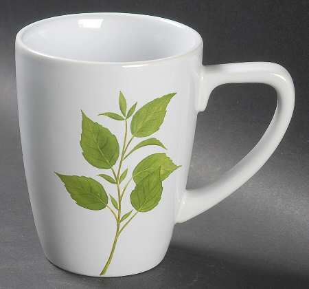 Culinary Herbs Mug