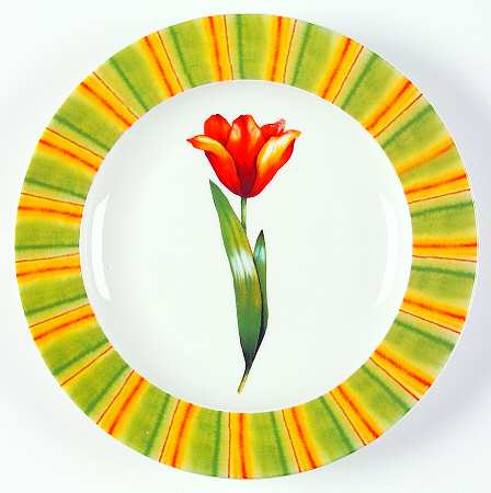 CP31 Salad Plate