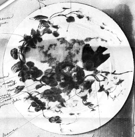 CHF1482 Salad Plate