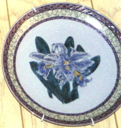 CX469 Show Or Decorative Plate (Charger)