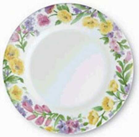 Floral Mist by Corning Corelle