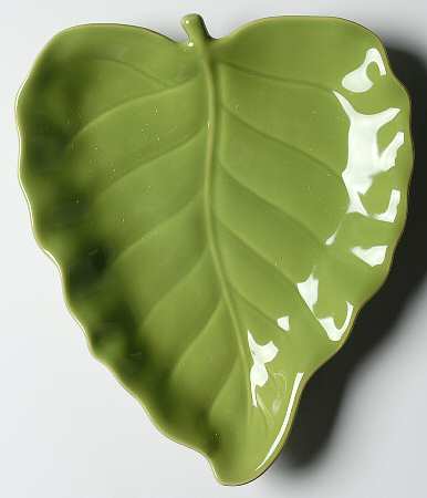 Fauna Salad Plate