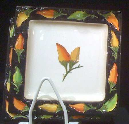 Cayenne Square Salad Plate