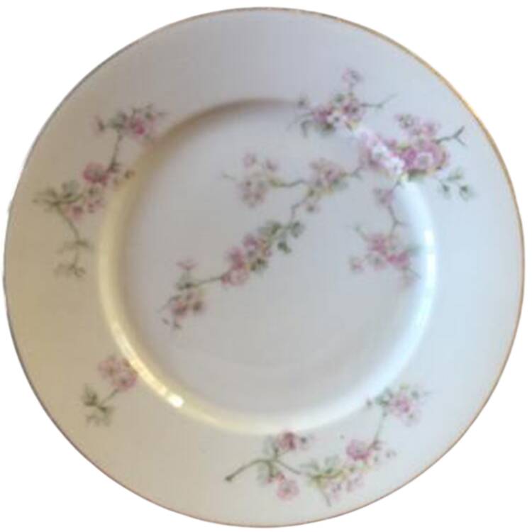 CTI212 Bread & Butter Plate