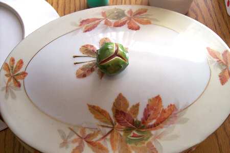 CEB123 Lid for Oval Vegetable