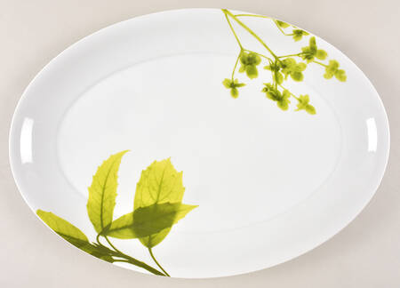 Verena 15" Oval Serving Platter