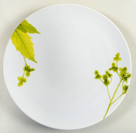 Verena by Crate &amp; Barrel