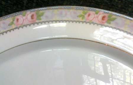 CAN265 Dinner Plate