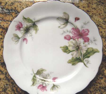 CNE3 Dinner Plate