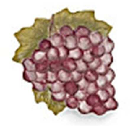 Botanical Fruit Figural Dessert/Pie Plate