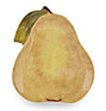Botanical Fruit Figural Dessert/Pie Plate