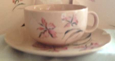 Carnation Delight by Crooksville