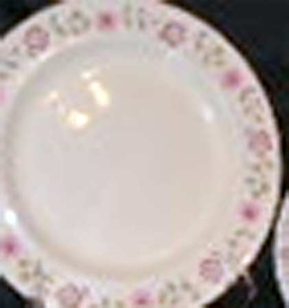 CX655 Dinner Plate