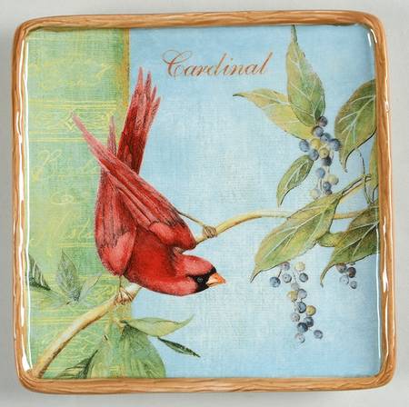 Botanical Birds Square Canape Plate