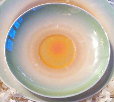 8210 Saucer