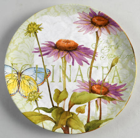 Herb Garden by Certified International